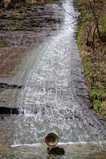 natur - verinnern foto 6